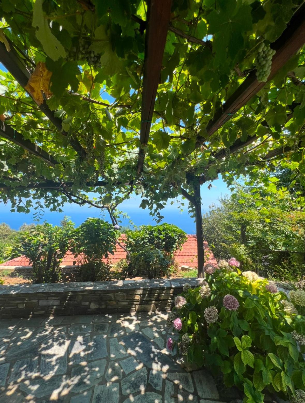 Ferienwohnung Om Living Pelion Áyios Dhimítrios Exterior foto